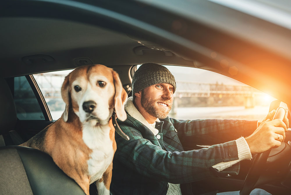 Missouri Car Crashes and Pet Injuries House Law LLC